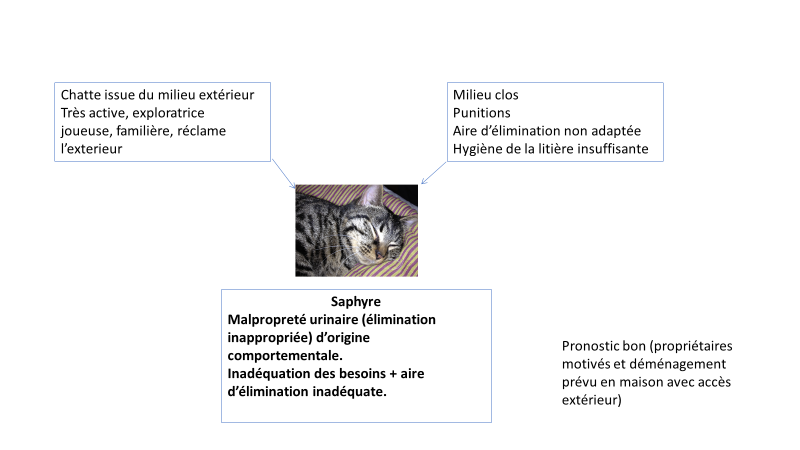 La description des malpropretés urinaires